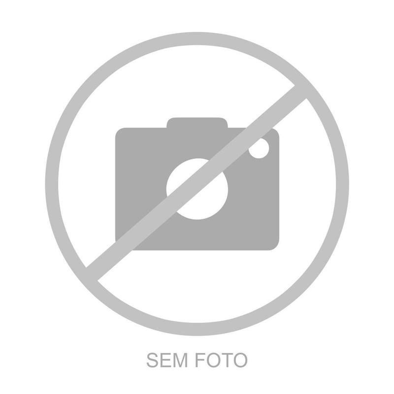 CAMINHAO SCANIA SCANIA 124 400
